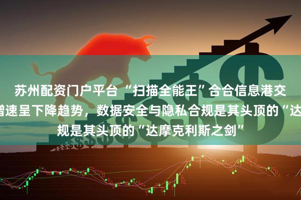 苏州配资门户平台 “扫描全能王”合合信息港交所递表：营收增速呈下降趋势，数据安全与隐私合规是其头顶的“达摩克利斯之剑”