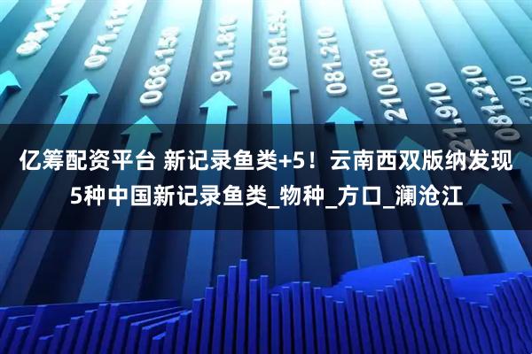 亿筹配资平台 新记录鱼类+5！云南西双版纳发现5种中国新记录鱼类_物种_方口_澜沧江